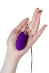 Фиолетовое виброяйцо с пультом управления A-Toys Cony, работающее от USB фото 3 — pink-kiss