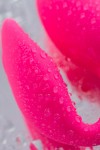 Розовый стимулятор Wonderlove фото 14 — pink-kiss