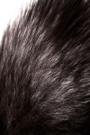 Черная силиконовая анальная втулка с хвостом чернобурой лисы - размер S фото 9 — pink-kiss