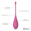 Набор из 6 розовых вагинальных шариков FemmeFit Pelvic Muscle Training Set фото 5 — pink-kiss