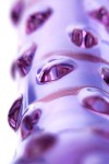 Фиолетовый стеклянный фаллоимитатор с шишечками - 19,5 см. фото 4 — pink-kiss