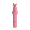 Нежно-розовый вибростимулятор в форме кролика Gerardo фото 2 — pink-kiss