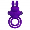 Фиолетовое эрекционное кольцо с вибростимуляцией клитора Vibrant Penis Ring III фото 1 — pink-kiss