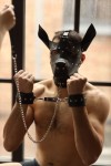 Эффектная маска собаки с металлическими заклепками фото 3 — pink-kiss