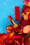 Красный вибратор-помада Pansies - 9 см. фото 14 — pink-kiss