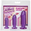 Набор из трех фиолетовых анальных фаллоимитаторов Crystal Jellies Anal Starter Kit фото 2 — pink-kiss
