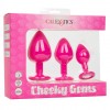 Набор из трёх розовых анальных пробок с кристаллом Cheeky Gems фото 3 — pink-kiss