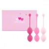 Набор из 3 розовых вагинальных шариков FemmeFit Advanced Pelvic Muscle Training Set фото 2 — pink-kiss