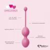 Набор из 3 розовых вагинальных шариков FemmeFit Advanced Pelvic Muscle Training Set фото 4 — pink-kiss