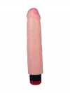 Реалистичный вибромассажер с встроенным пультом - 21 см. фото 2 — pink-kiss
