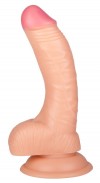 Телесный фаллоимитатор с присоской - 14,5 см. фото 1 — pink-kiss