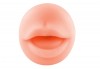 Реалистичный мастурбатор-ротик из реалистичного материала фото 3 — pink-kiss