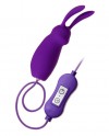Фиолетовое виброяйцо с пультом управления A-Toys Bunny, работающее от USB фото 1 — pink-kiss