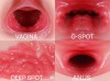 Мастурбатор-полуторс с двойным слоем материала Maria Onahole Real Vagina фото 6 — pink-kiss