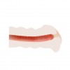 Мастурбатор-вагина с вибрацией от съёмного кольца - 14 см. фото 8 — pink-kiss
