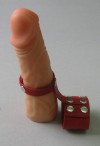 Красный кожаный поводок на пенис с кнопками фото 1 — pink-kiss