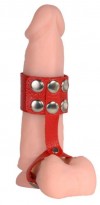 Красный кожаный поводок на пенис с кнопками фото 2 — pink-kiss