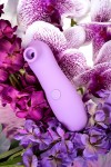 Сиреневый вакуум-волновой стимулятор клитора Lilac фото 11 — pink-kiss