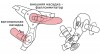 Женский страпон Harness с вагинальной пробочкой - 16,5 см. фото 13 — pink-kiss
