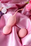 Нежно-розовые вагинальные шарики ZEFYR с пультом ДУ фото 16 — pink-kiss