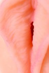 Телесный реалистичный мастурбатор-вагина Elegance.005 с вибрацией фото 11 — pink-kiss