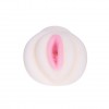 Рифленый мастурбатор-вагина из реалистичного материала фото 3 — pink-kiss