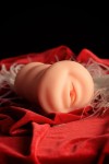 Мастурбатор-вагина Virgin с вибрацией фото 10 — pink-kiss