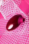 Бордовый вакуумный стимулятор клитора Myrty фото 13 — pink-kiss
