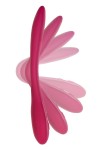 Бордовый многофункциональный вибратор Caberna фото 4 — pink-kiss
