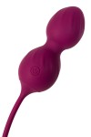 Бордовые вагинальные шарики Moussy с вибрацией и пультом ДУ фото 10 — pink-kiss