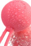 Коралловый вагинальный шарик ROSY фото 9 — pink-kiss