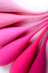 Набор из 6 розовых вагинальных шариков Eromantica K-ROSE фото 9 — pink-kiss