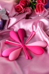 Набор из 6 розовых вагинальных шариков Eromantica K-ROSE фото 14 — pink-kiss