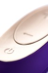 Фиолетовый вибратор для пар Satisfyer Double Plus Remote с пультом ДУ фото 11 — pink-kiss