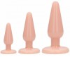 Набор телесных анальных пробок Anal Trainers Kit фото 1 — pink-kiss