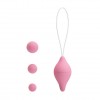 Вагинальный шарик с 3 сменными грузиками Sexual Exercise фото 2 — pink-kiss