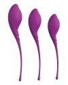 Набор из 3 фиолетовых вагинальных шариков PLEASURE BALLS & EGGS KEGEL EXERCISE SET фото 1 — pink-kiss