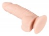 Телесный реалистичный фаллоимитатор на присоске - 17 см. фото 4 — pink-kiss