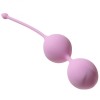Розовые вагинальные шарики Fleur-de-lisa фото 1 — pink-kiss