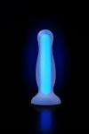 Голубая, светящаяся в темноте анальная втулка Kyle Glow - 10 см. фото 11 — pink-kiss