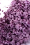 Соль для ванны  Bath Salts Aphrodisia с цветочным ароматом - 75 гр. фото 4 — pink-kiss