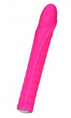 Розовый вибратор Nalone Dixie - 16,7 см. фото 1 — pink-kiss