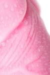 Розовый фаллоимитатор Scot - 20 см. фото 13 — pink-kiss